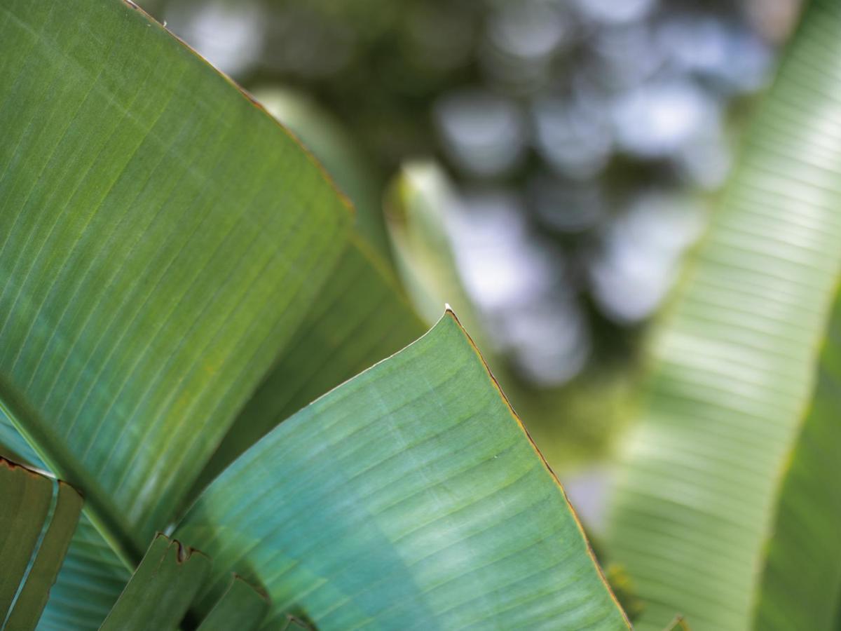 Homm Stay Yumiha Okinawa By Banyan Tree Group Onna Zewnętrze zdjęcie