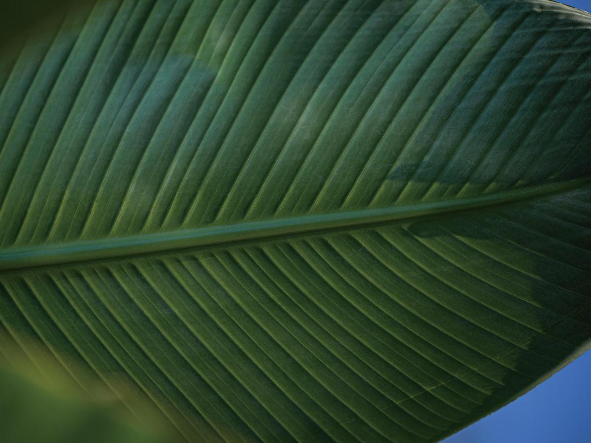 Homm Stay Yumiha Okinawa By Banyan Tree Group Onna Zewnętrze zdjęcie